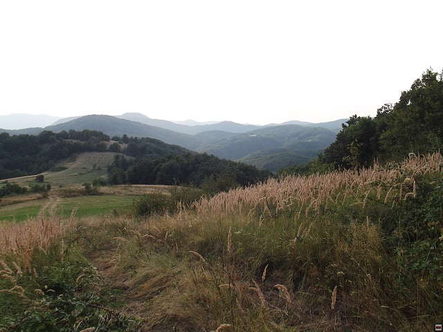 img00223.jpg