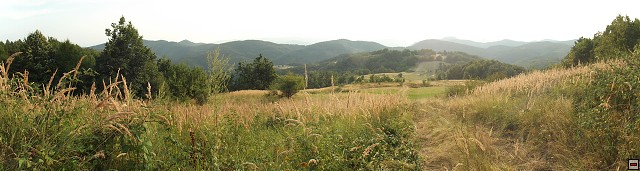img00224.jpg
