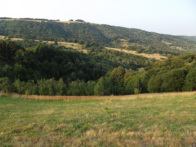 img00225.jpg