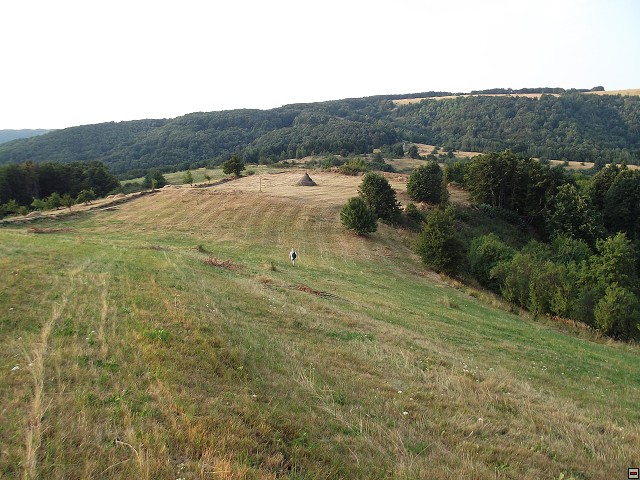 img00226.jpg