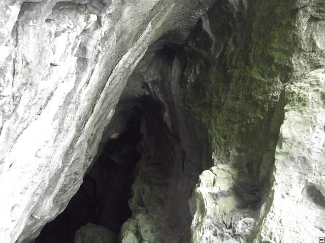 img00241.jpg