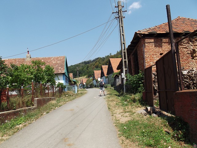 img00243.jpg