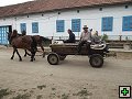 thn00175.jpg