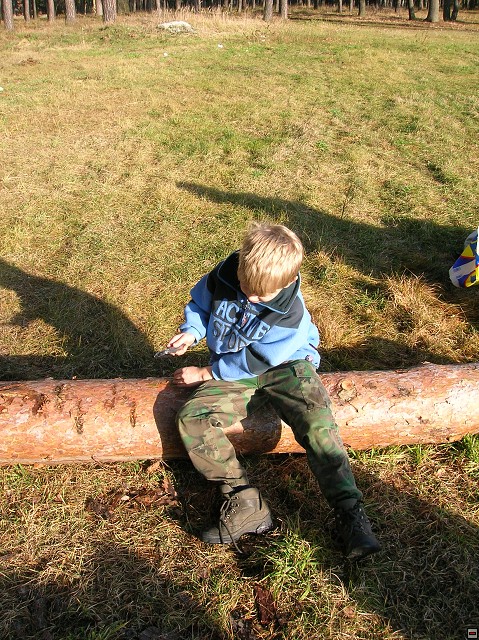 img00016.jpg