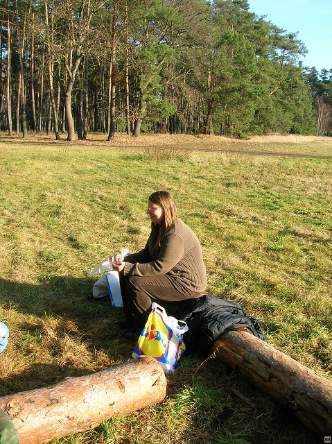 img00017.jpg