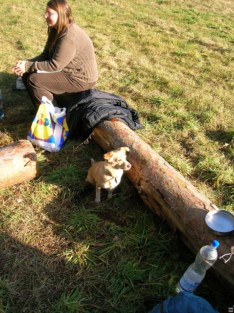 img00020.jpg