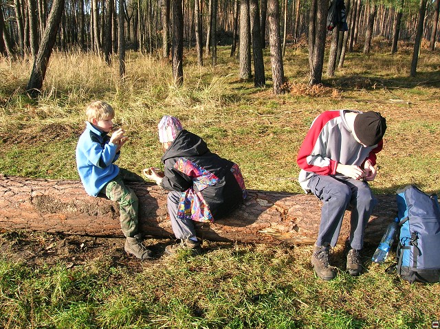 img00024.jpg