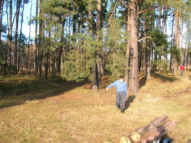 img00028.jpg
