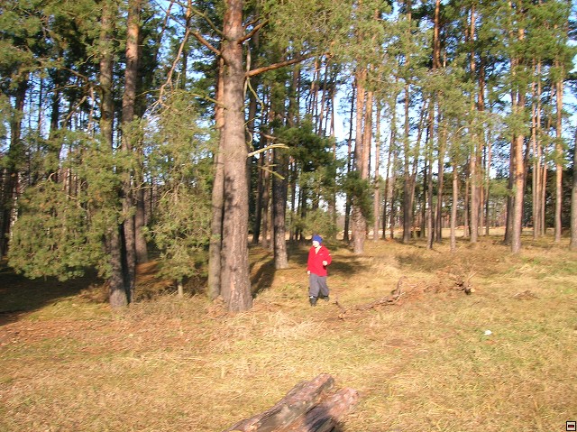 img00029.jpg