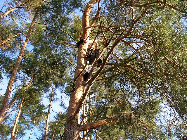 img00035.jpg