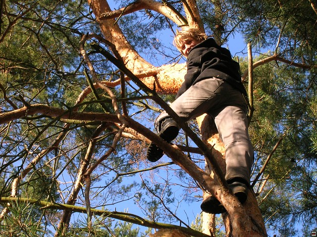 img00037.jpg