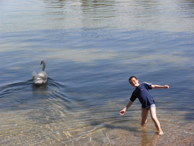 img00007.jpg