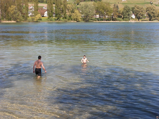 img00012.jpg