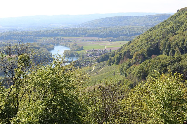 img00033.jpg