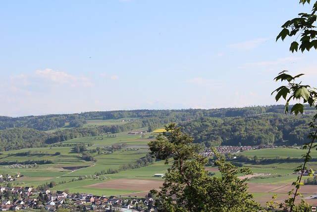 img00040.jpg