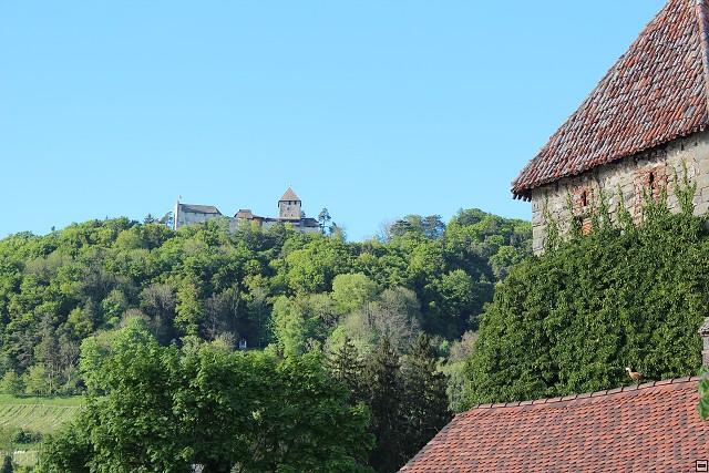 img00047.jpg