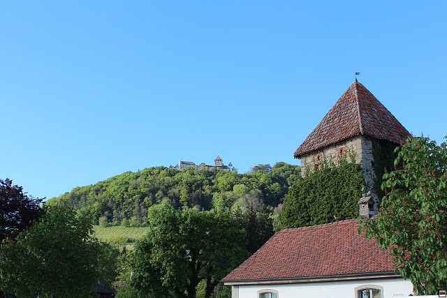 img00048.jpg