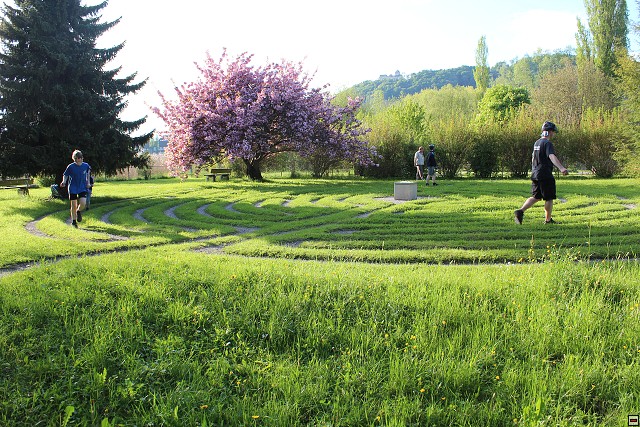 img00068.jpg