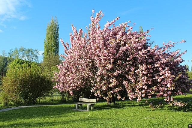 img00069.jpg