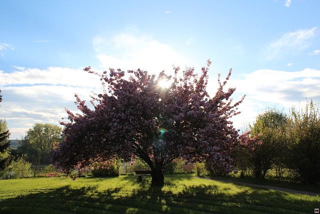 img00073.jpg
