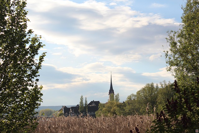 img00075.jpg