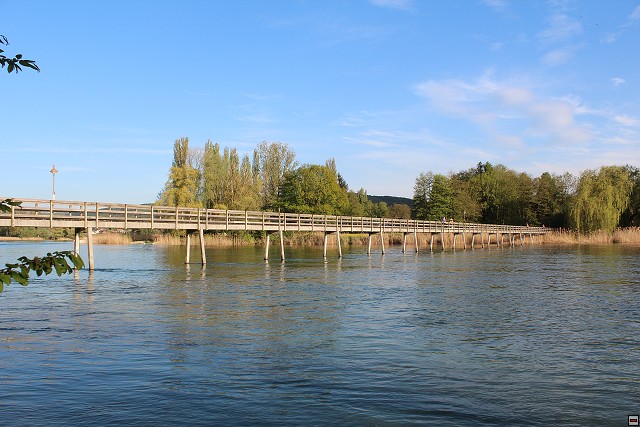 img00079.jpg
