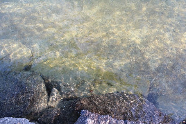 img00081.jpg