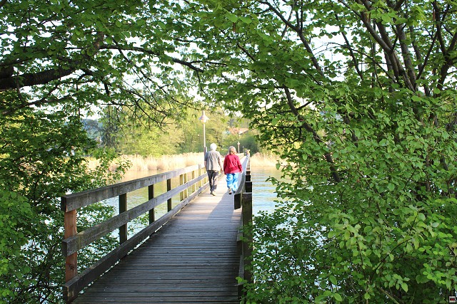img00084.jpg