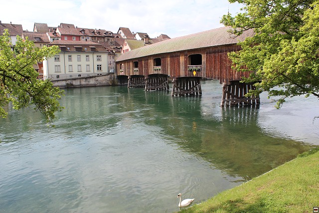 img00105.jpg
