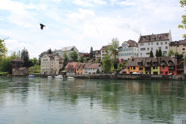 img00107.jpg