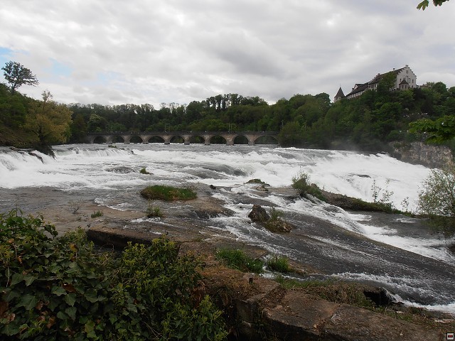 img00111.jpg