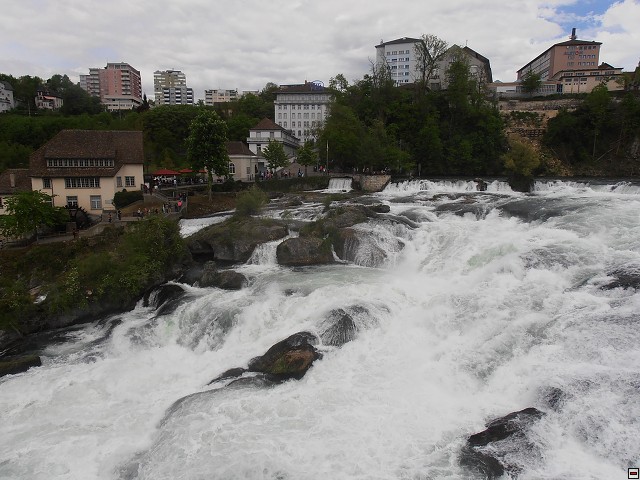img00123.jpg