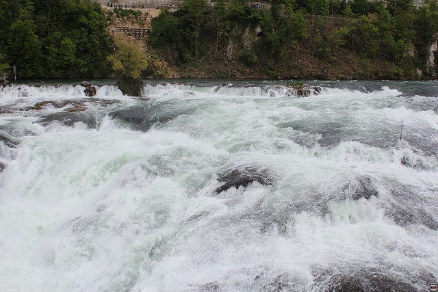 img00170.jpg