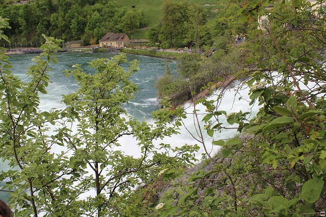 img00171.jpg
