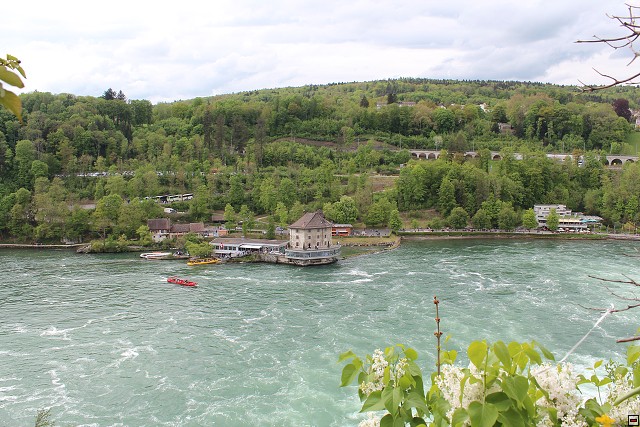 img00183.jpg