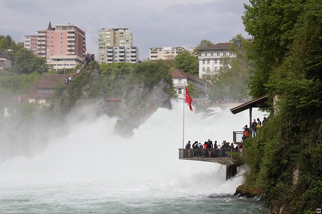 img00185.jpg