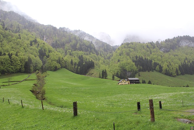 img00189.jpg