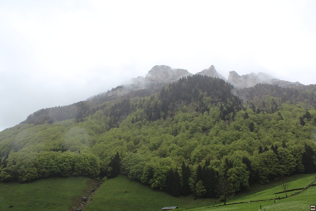 img00190.jpg