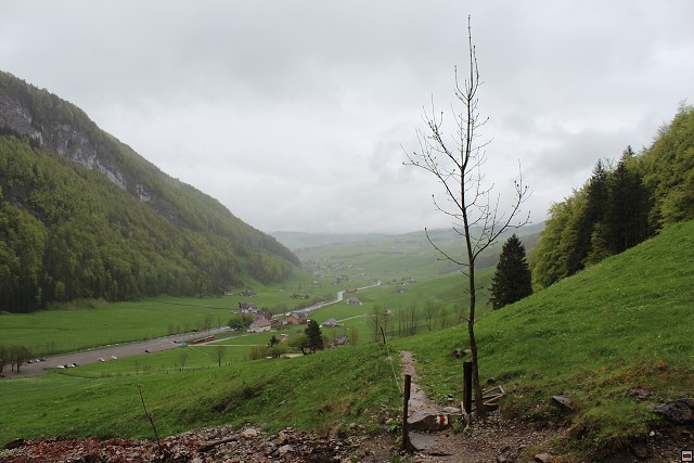 img00191.jpg