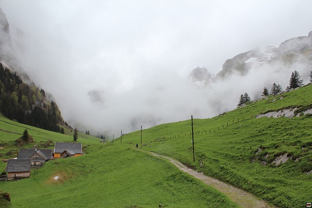 img00230.jpg