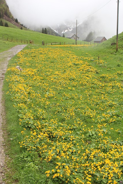 img00234.jpg