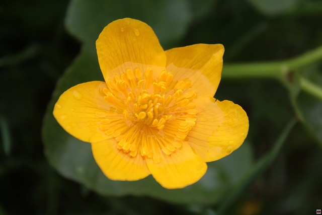 img00237.jpg