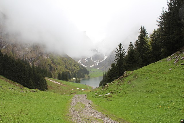 img00239.jpg