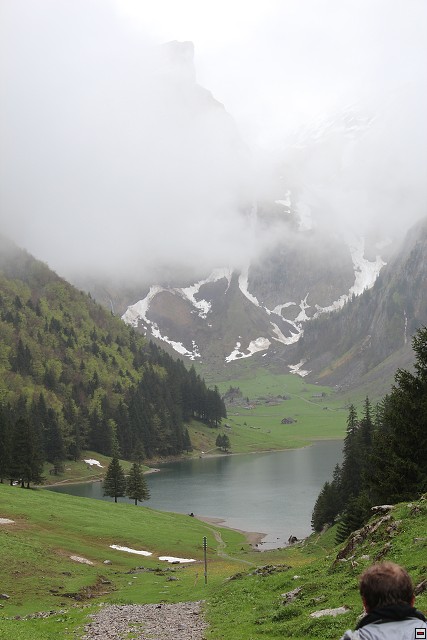img00241.jpg