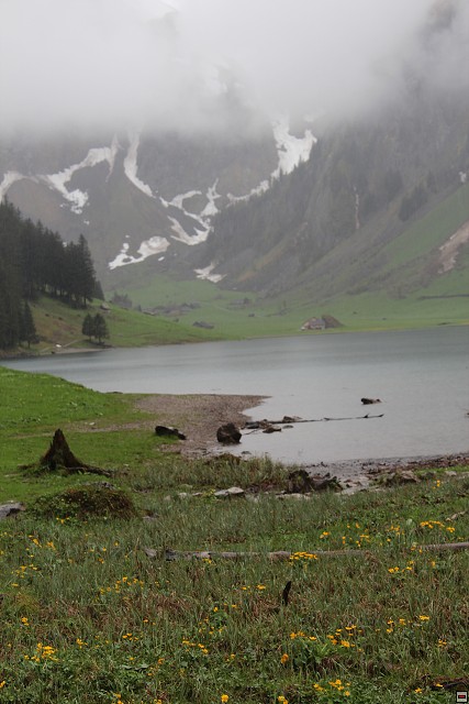 img00243.jpg