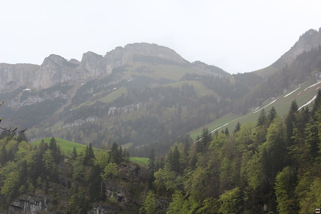img00260.jpg
