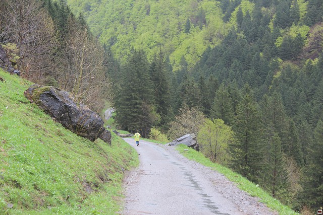 img00262.jpg
