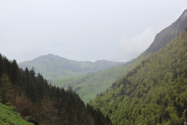 img00263.jpg