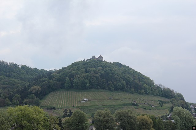 img00279.jpg