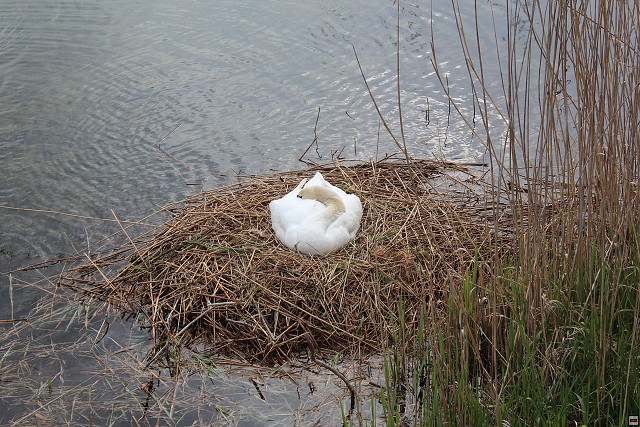 img00280.jpg